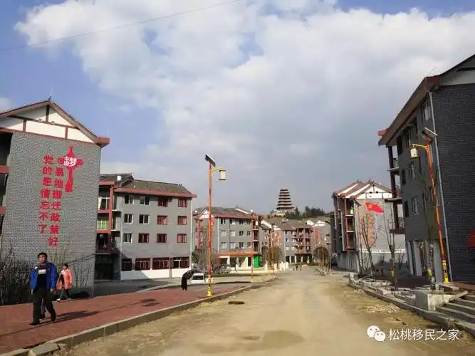 嬗变中的团山社区