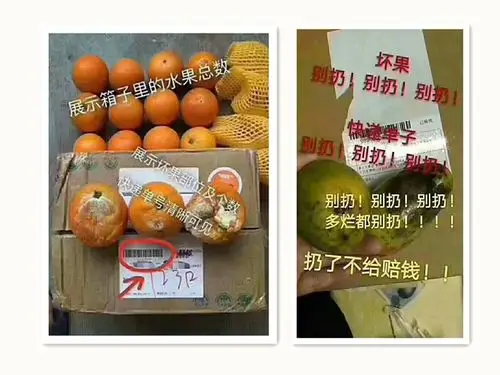 赔付须知 1,我们承诺坏果包赔,请您放心!