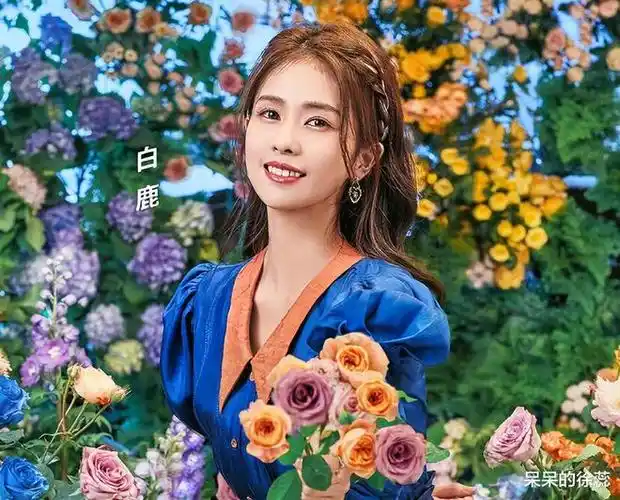 看清白鹿的直播状态,才明白29岁的她为啥是《跑男》的"新宠"|李沁