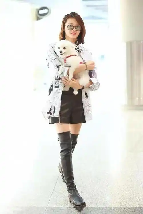 郑恺眼光真不赖苗苗穿短裙抱狗走机场时尚减龄有魅力