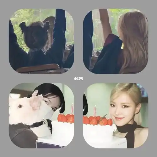 1119blackpink头像