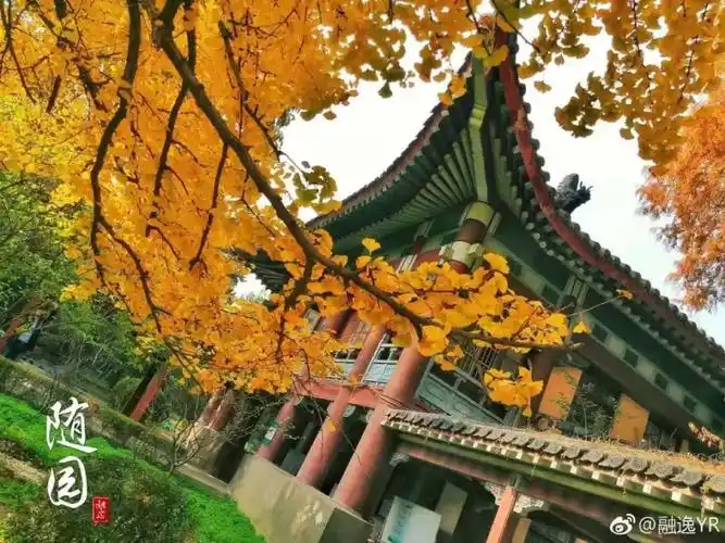 "东方最美校园"南京师范大学!_南师大