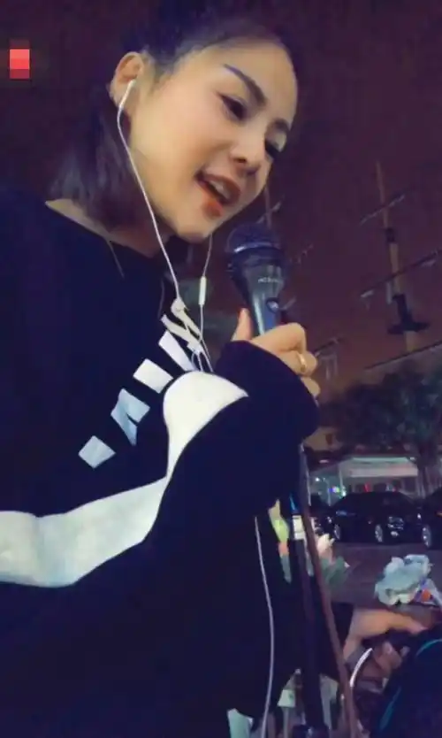 花姐的个人资料(安徽女子,从大排档卖唱女到登上春晚,靠2首歌,名利双