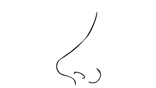 零基础,超详细,素描人物的画法,值得收藏反复学习鼻子简笔画图片 精巧