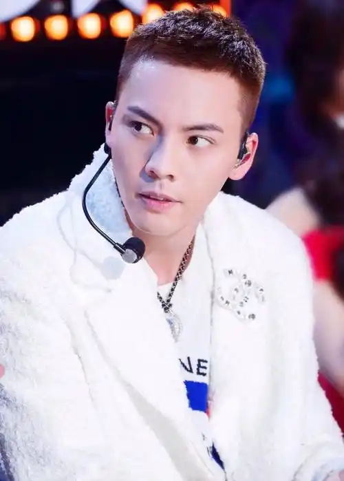 陈伟霆有哪些又美又酷的发型?什么样的发型适合她?