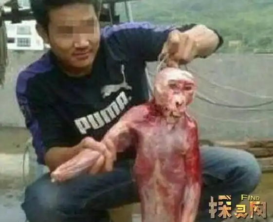 科学家承认水猴子存在拉人下水的恐怖水怪图片