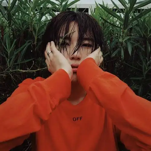 微信头像陆柯燃