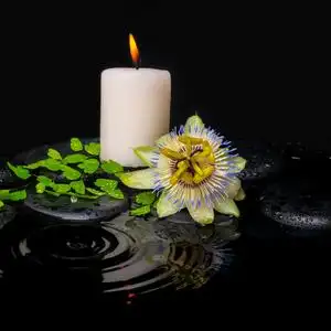 莲花状的蜡烛图片