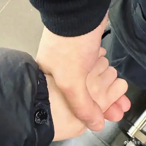 两个人一起回到了香港还拍了牵手照