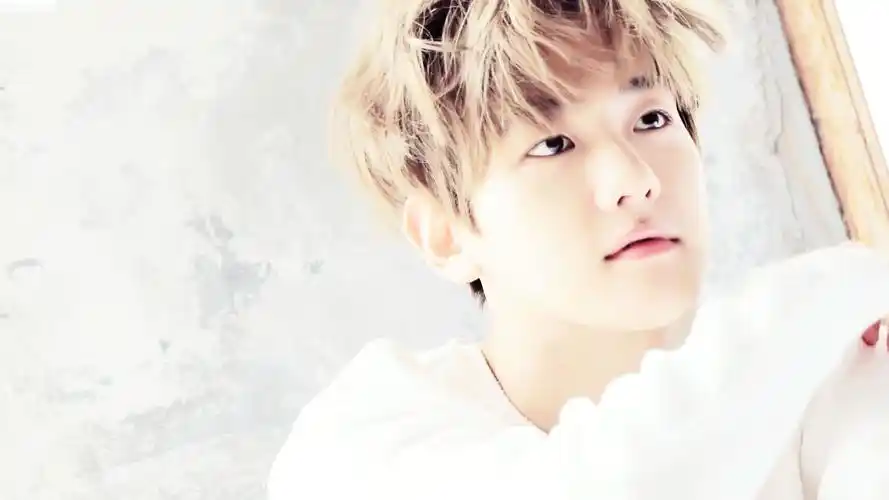 exo成员边伯贤可爱帅气电脑桌面壁纸下载3