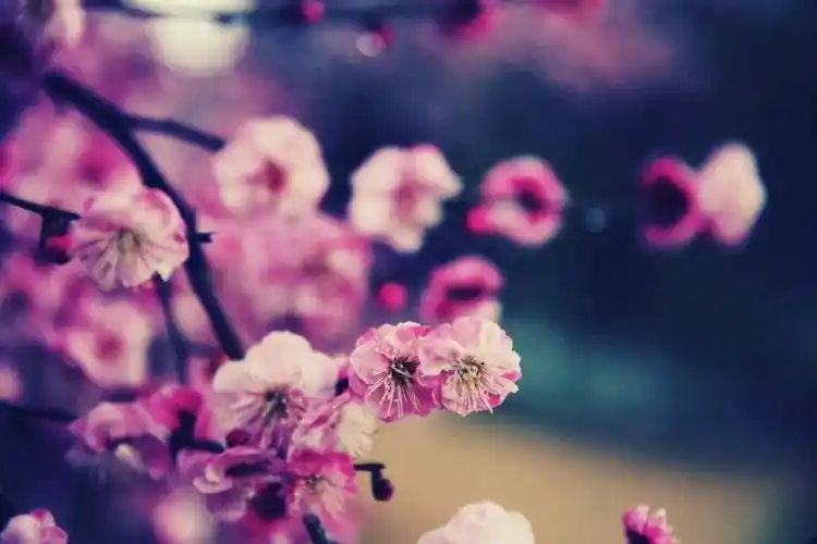 早读:人生的贵人,生活的恩人_摄影_财富_困境