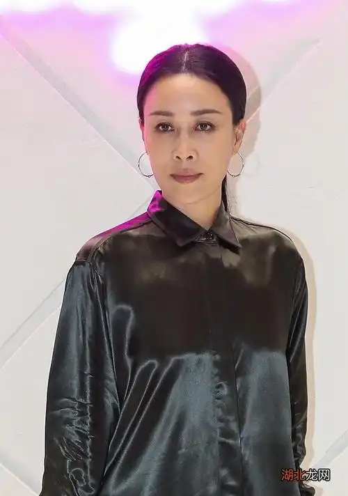 那英个人简介  那英简历个人资料