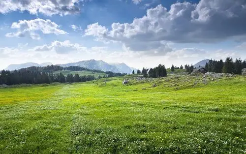 高清护眼绿色风景图片桌面壁纸