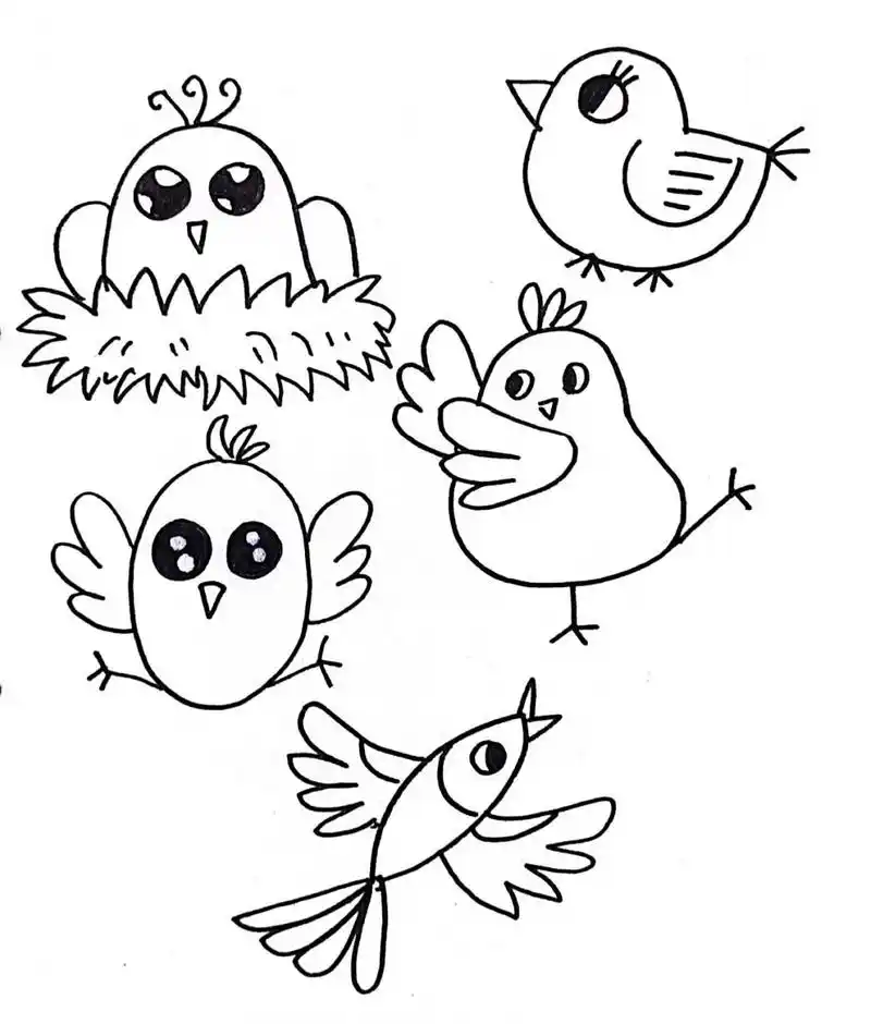 小鸟简笔画参考