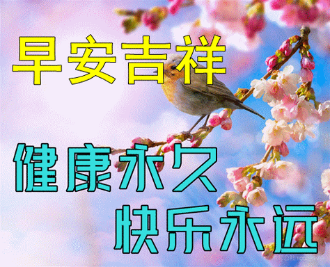 语平安健康短语(最新早晨好问候祝福语图片带字,祝愿我的好友平安健康