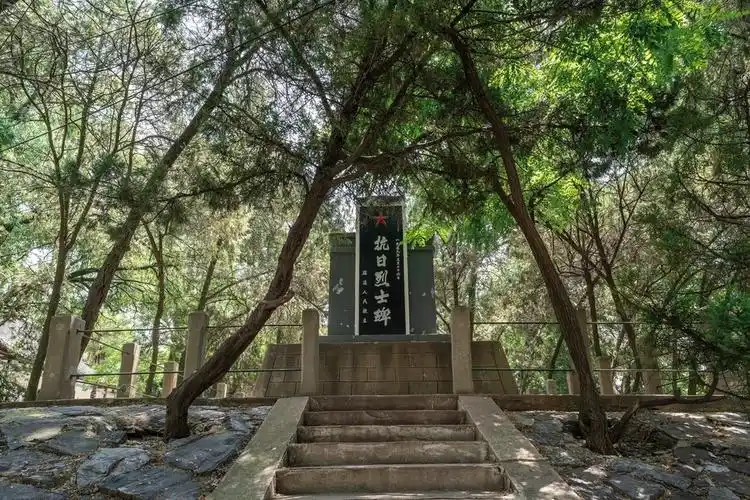 宿迁市 休闲娱乐 景点公园 景点 > 马陵公园评论(怎么样,怎样,好不好