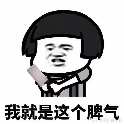 我就是这个脾气-聊天表情-搞笑图片表情包-表情包网站