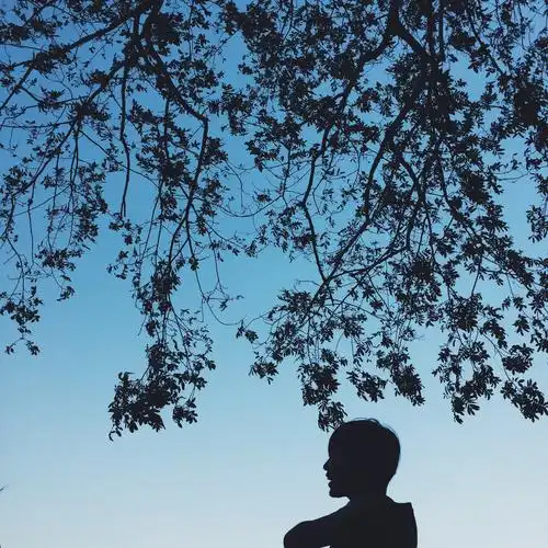 一些乱七八糟的生活图片