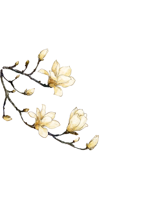 古风素材花免扣