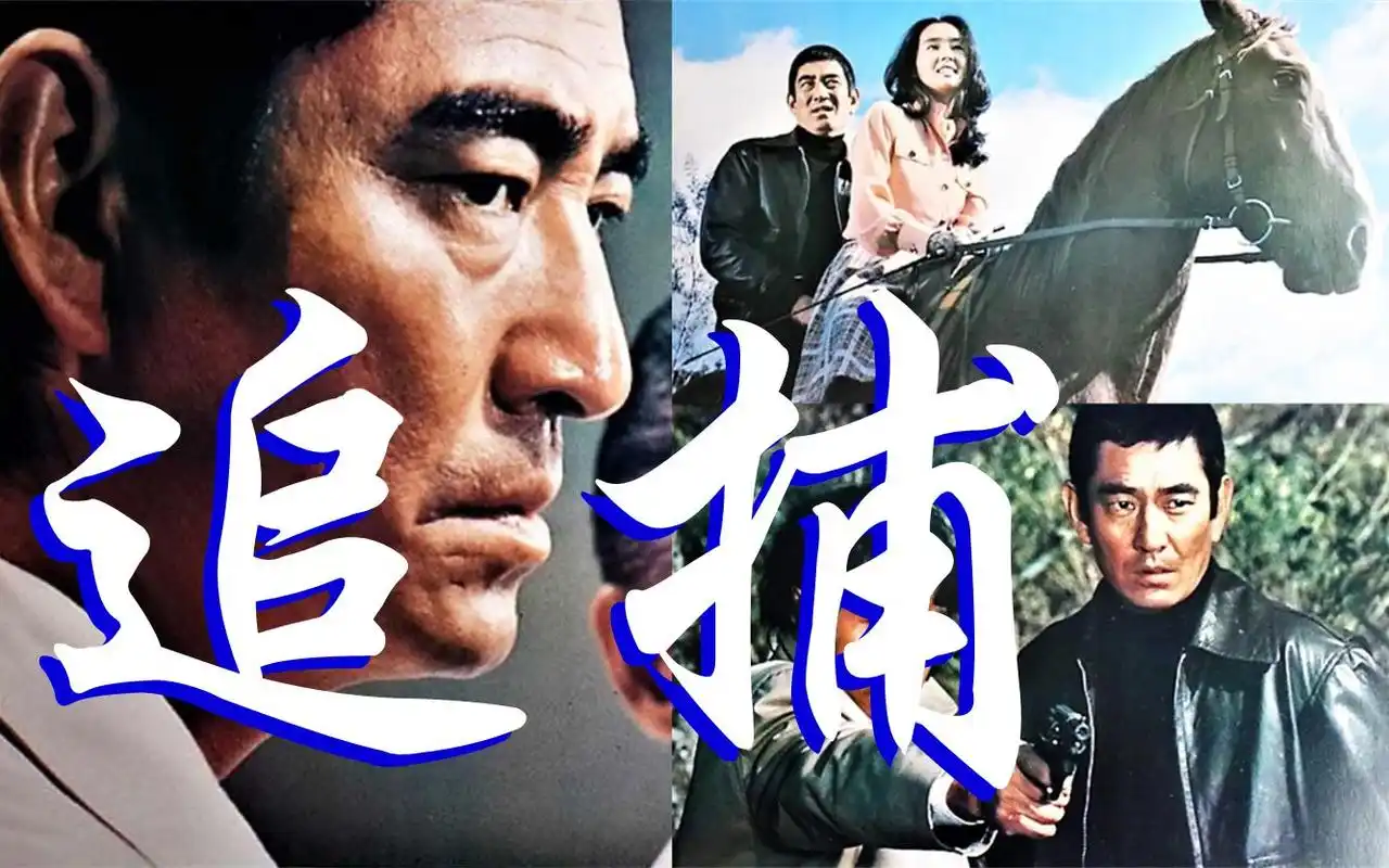 日本电影《追捕》轰动一时观者如潮 高仓健 中野良子在中国大火_哔哩