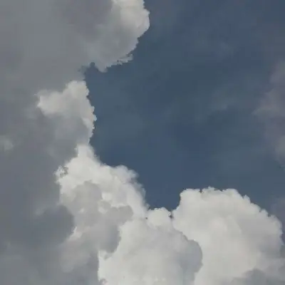 季清ins风唯美文艺风景静物头像