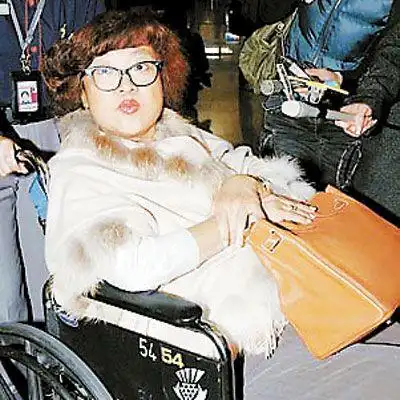 被传肝病复发 沈殿霞返港医病(图)