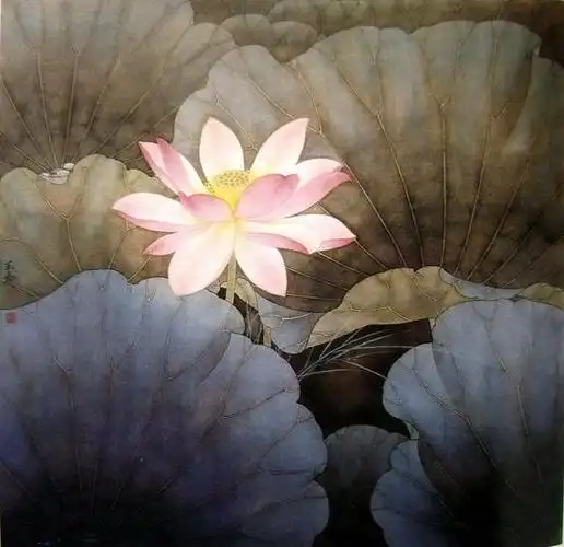 荷花工笔画欣赏