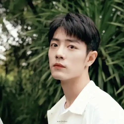 内娱明星头像大户##肖战