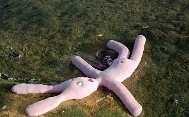 世界最大兔子玩具,曾经卫星上都能看到,如今却"英年早逝"