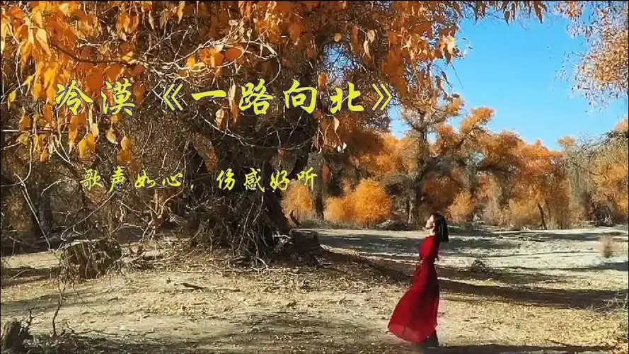 冷漠演唱《一路向北》伤心的情歌,歌声如心,伤感好听
