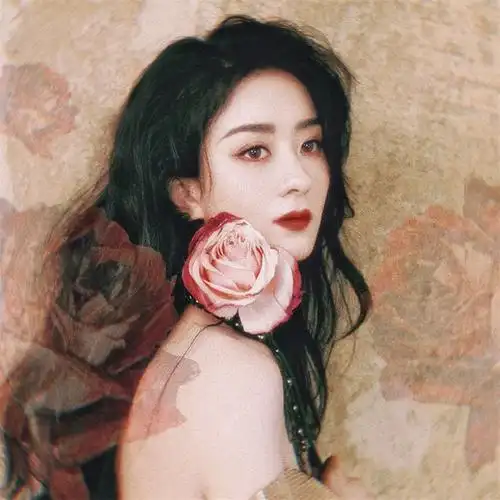 赵丽颖复古风头像图片