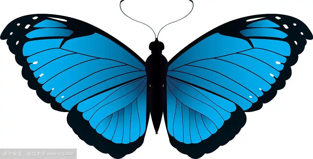 美丽的蝴蝶剪影