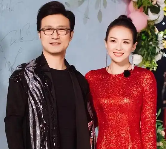 离婚不久章子怡汪峰官宣好消息终圆喜悦之日