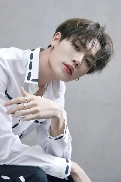 林彦俊(中国台湾男歌手,演员))_石塘网