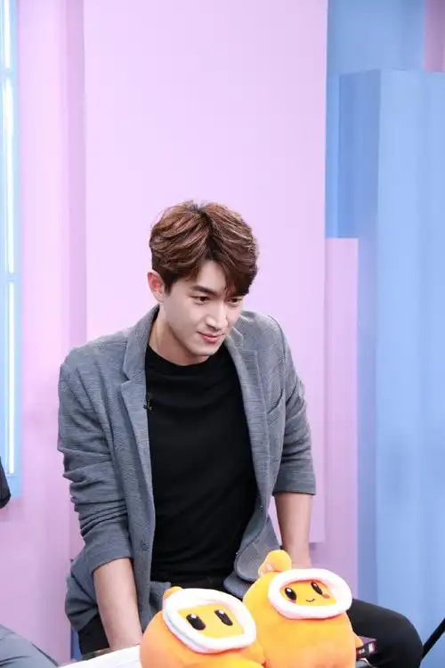 林更新出道十周年