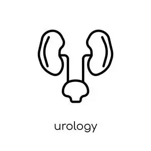 时尚现代平面线性矢量泌尿外科图标白色背景从细线健康和医疗收集,可