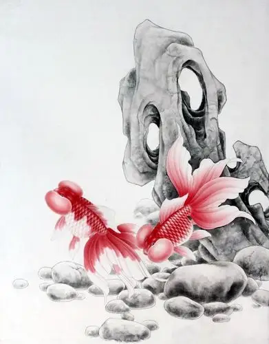 工笔红水泡眼金鱼教程