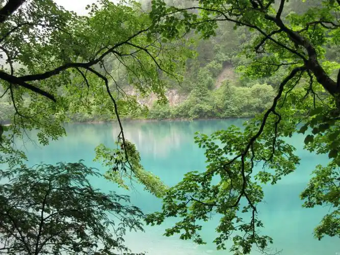 现实里的童话——走近九寨沟图片892,旅游景点,风景名胜 - 蚂蜂窝图库