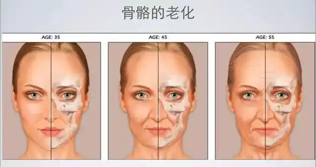 佳简:想要抗老,先看我们怎么变老的_手机搜狐网