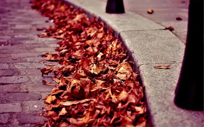 秋季枫叶唯美意境风景图片桌面壁纸下载
