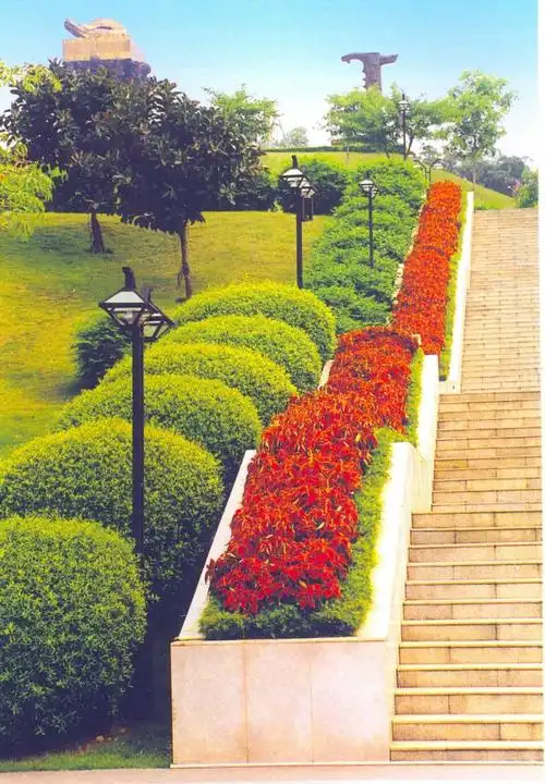 花池树池091-园林小品案例-筑龙园林景观论坛