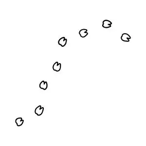 卡通羊驼脚印黑白简笔画素材