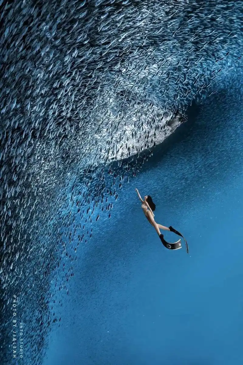 双帆石潜水|盆友圈问疯了,这真不是国外.水下礁石,崖壁,缝隙 - 抖音