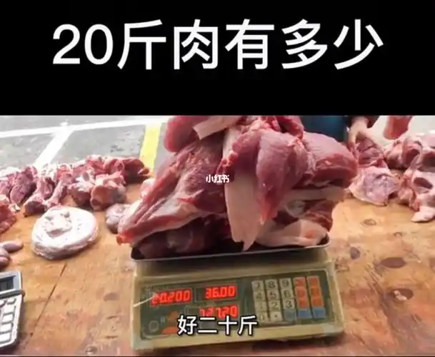 20斤肉有多少暴食