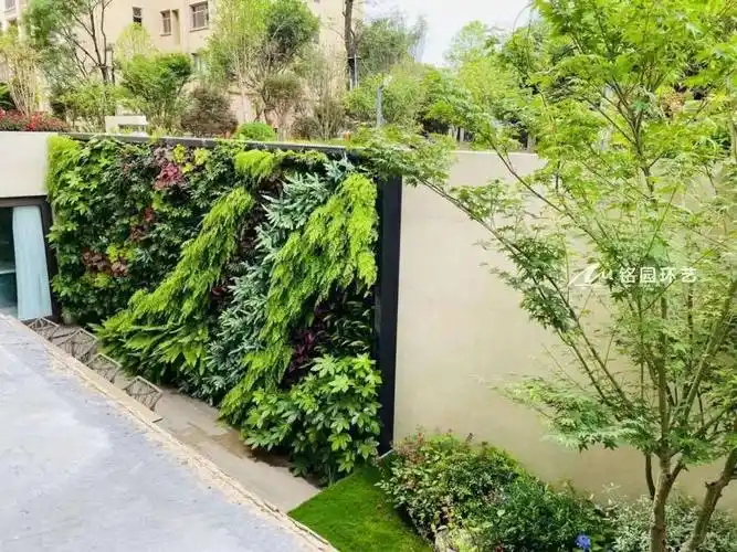 别墅院墙绿化,院子垂直绿化景观造景 - 成都天海铭园
