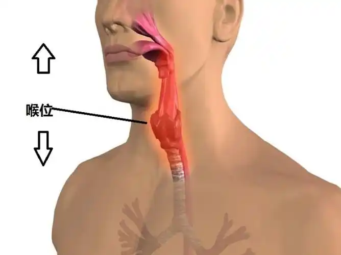 发声位置是怎么回事