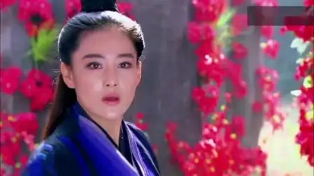 神雕侠侣陈晓版第二部分