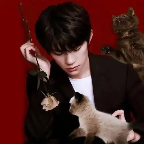 微信头像易烊千玺