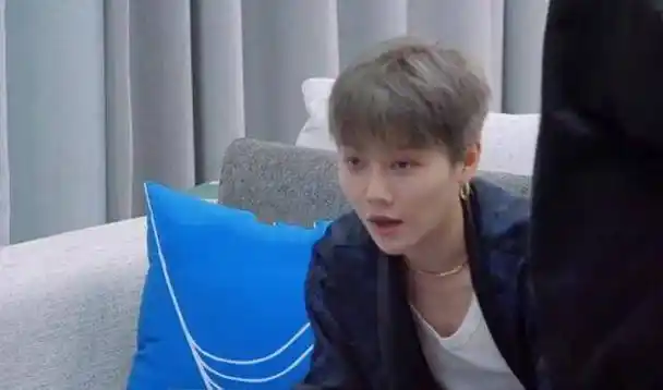 范丞丞_柯基_狗狗