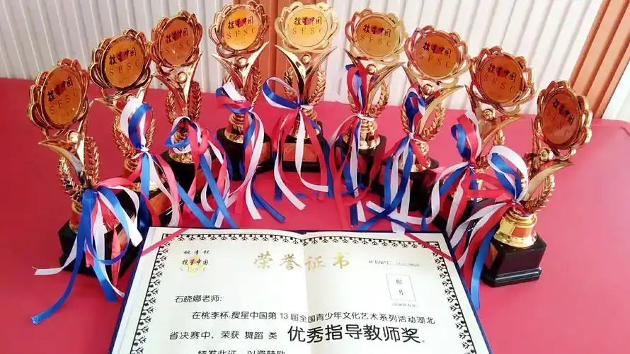 热烈祝贺新城幼儿园舞蹈班小朋友 在桃李杯"搜星中国"第十三届舞蹈